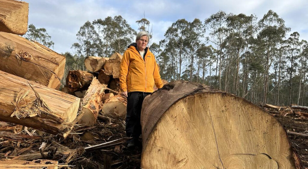 Greens Warn Thousands Will Protest Tasmania Forest Logging