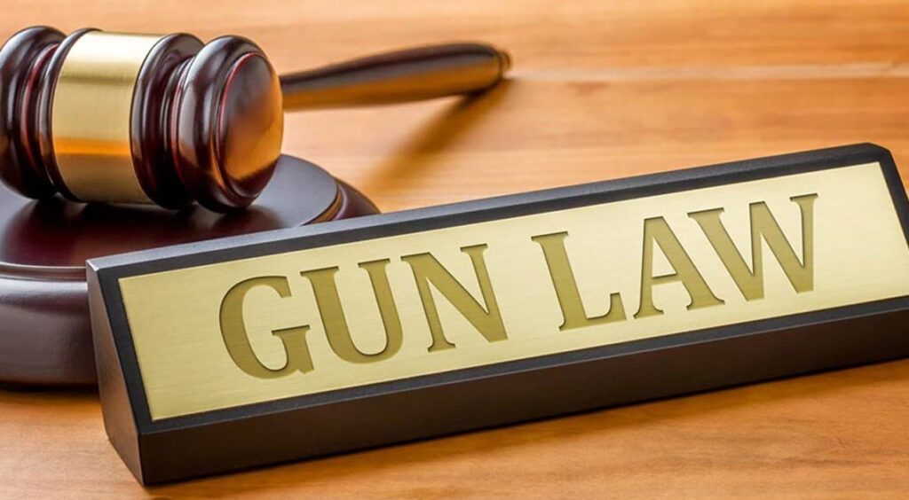 Are Australia’s Gun Laws Failing After the Bondi Beach Shooting?