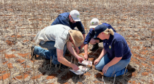 West Midlands Group Begins Five-Year Study to Tackle Sandy Soil Erosion