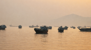 ‘Dark’ Hormuz Shuttle Runs Earn Millions for Supertanker Owners