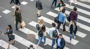 Australian Business Confidence Falls Further as Profitability Comes Under Pressure